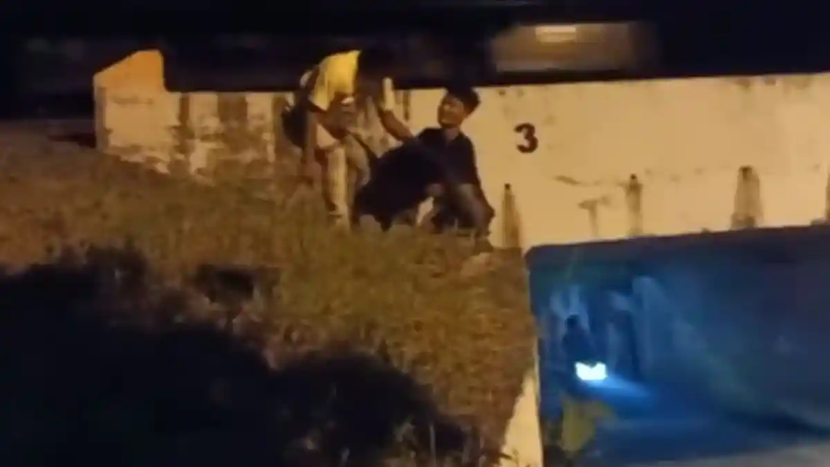 Mengaku Diperkosa, Perempuan Muda Ini Diselamatkan Suami saat Hendak Tabrakkan Diri