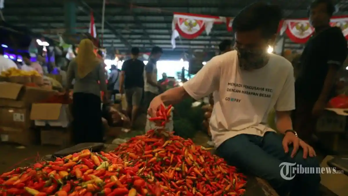 Harga Cabai Rawit Tembus Rp 90.000 per Kilo, Ikappi Desak Pemerintah Perbaiki Tata Niaga Pangan