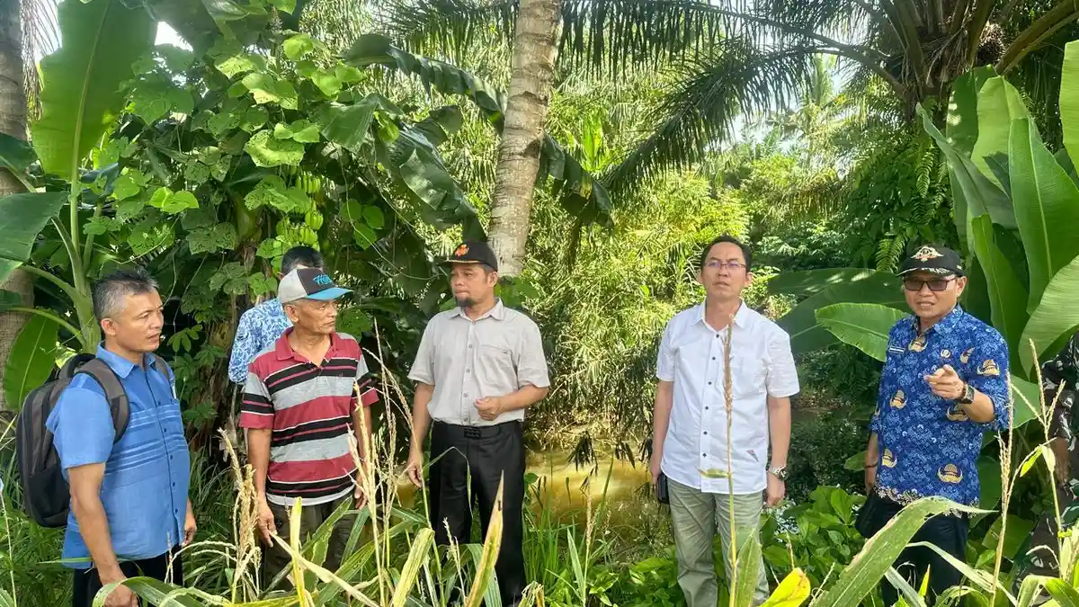 Program Percepatan Areal Tanam di Seluma, Tim Kementan RI Cek Sawah Tadah Hujan