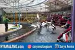 Long Weekend, Kebun Binatang Surabaya Siapkan Pertunjukan Menarik