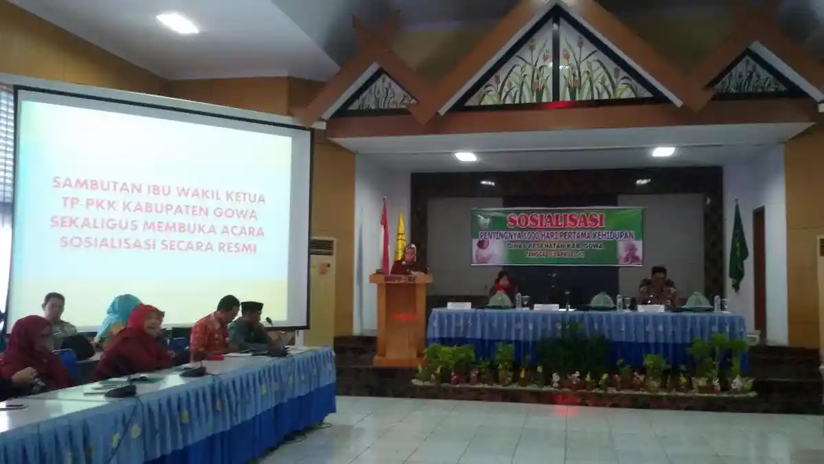 Ibu Hamil di Gowa Diimbau Tidak Makan Mi, Ini Tujuannya