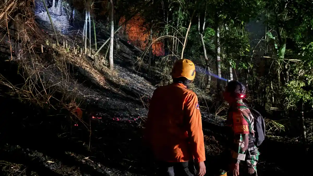 Karhutla di Jember Capai 84 Kejadian, Tersebar di 22 Kecamatan