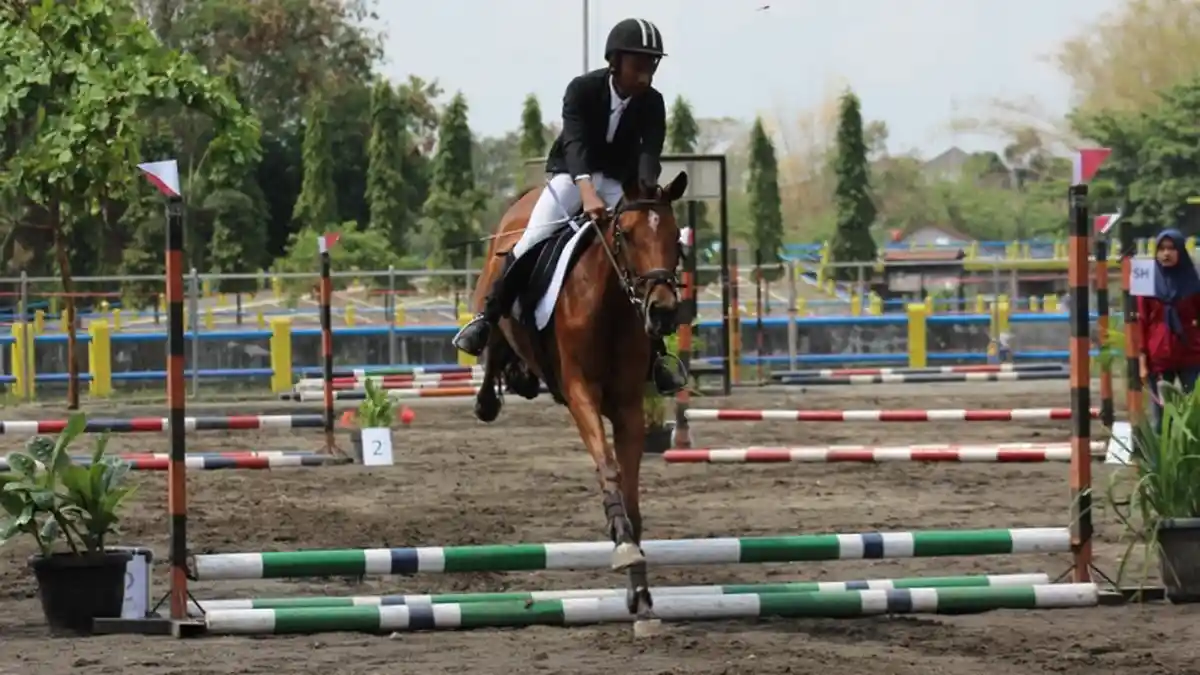Kejuaraan D'Paragon Equestrian 2018, Sarana Rider Junior-Senior di DIY Berkompetisi