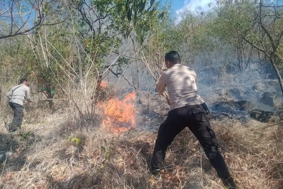 BMKG: Waspada Kebakaran Hutan dan Lahan di Wilayah NTT Hari Ini