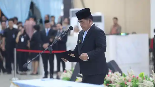 Tribun
