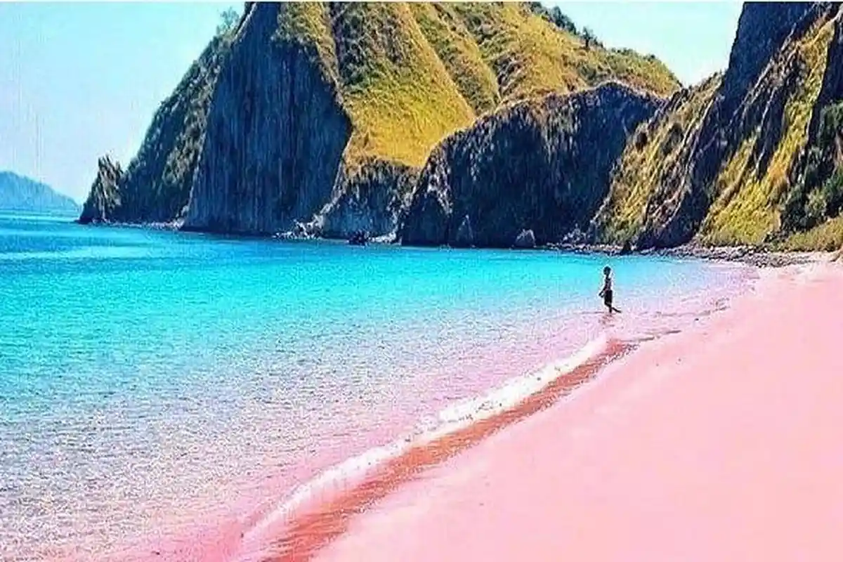 Wisata Labuan Bajo, Yuk Mudik Cek Harga Tiket Pesawat Kupang ke Kota Labuan Bajo dengan Wings Air