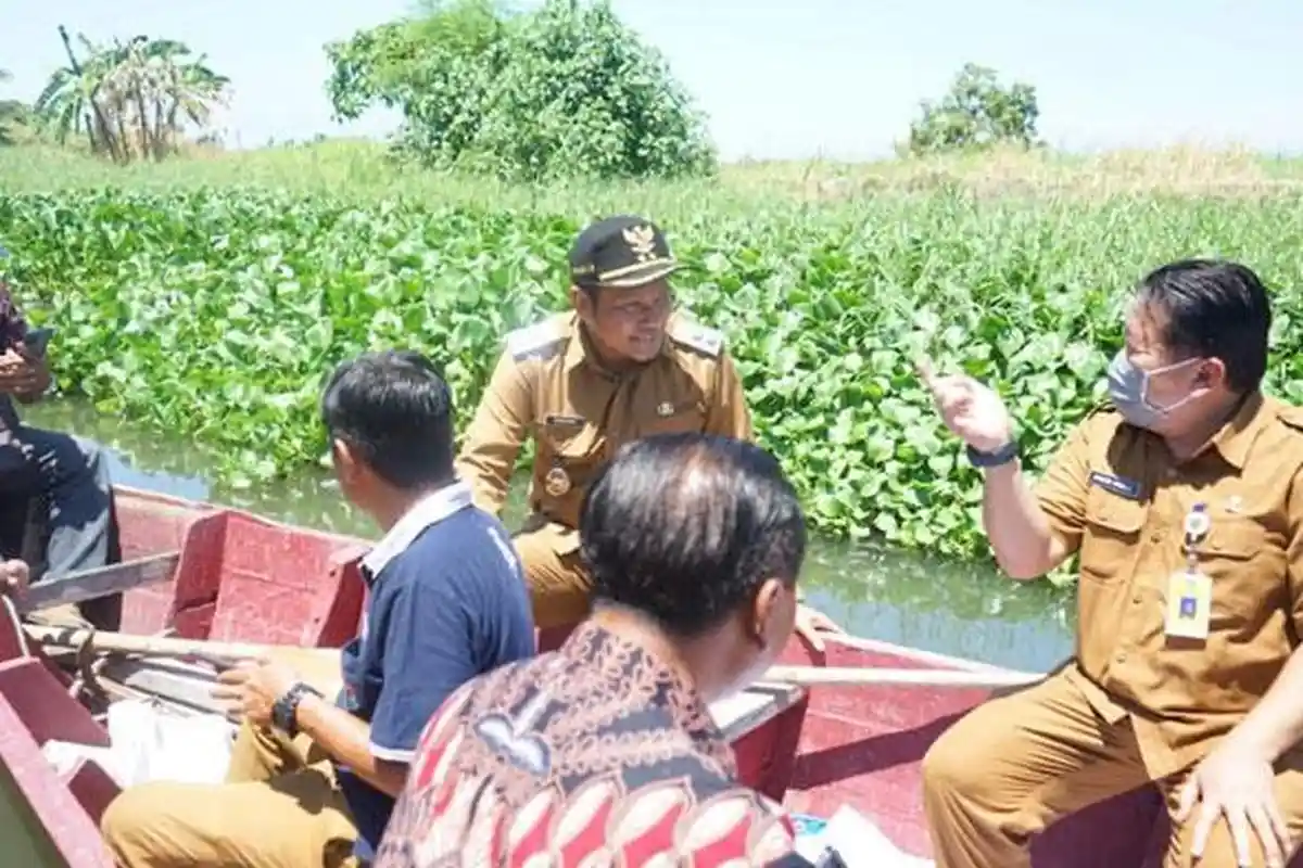 Sungai Tambakrejo Dipenuhi Eceng Gondong, Wakil Bupati Sidoarjo Turun ke Lapangan Carikan Solusi