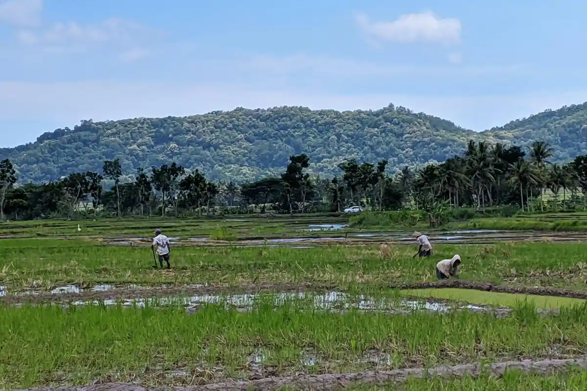 11 Jenis Pekerjaan yang Cocok untuk Zodiak Taurus, Ada Akuntan, Pertanian Hingga Desian Interior