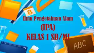 Berikut-soal-IPA-kelas-1-SD-Semester-2-Kurikulum-Merdeka.jpg