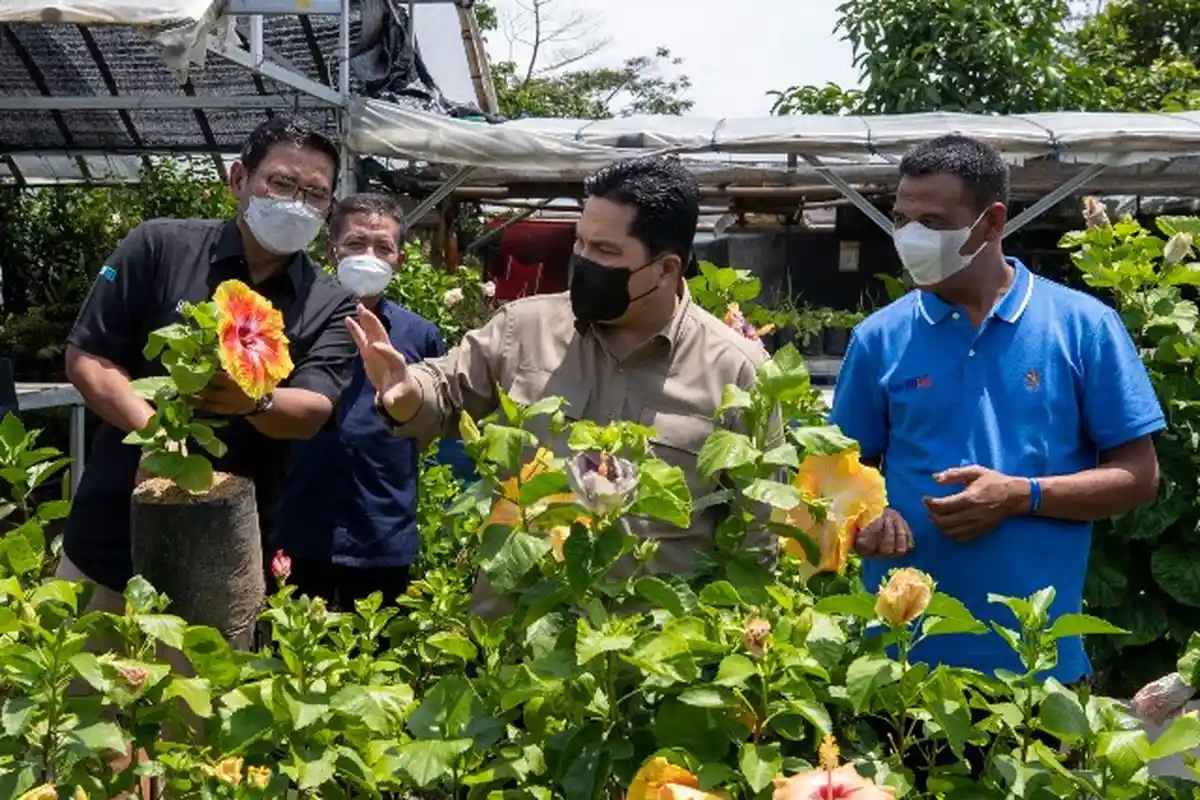 Kementerian BUMN dan BRI Berdayakan Klaster Tanaman Hias Desa Bunga di Lereng Gunung Arjuna