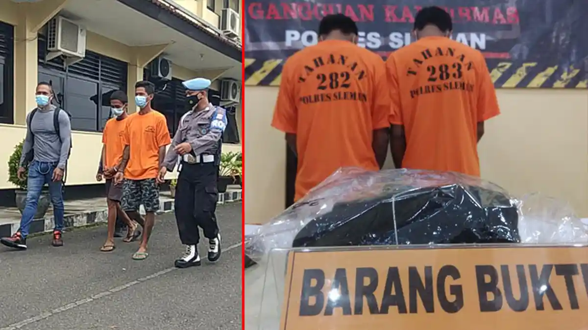 Cerita Pemuda Asal Sleman Bacok Mahasiswa, Tak Terima Ayam Jagonya Mati