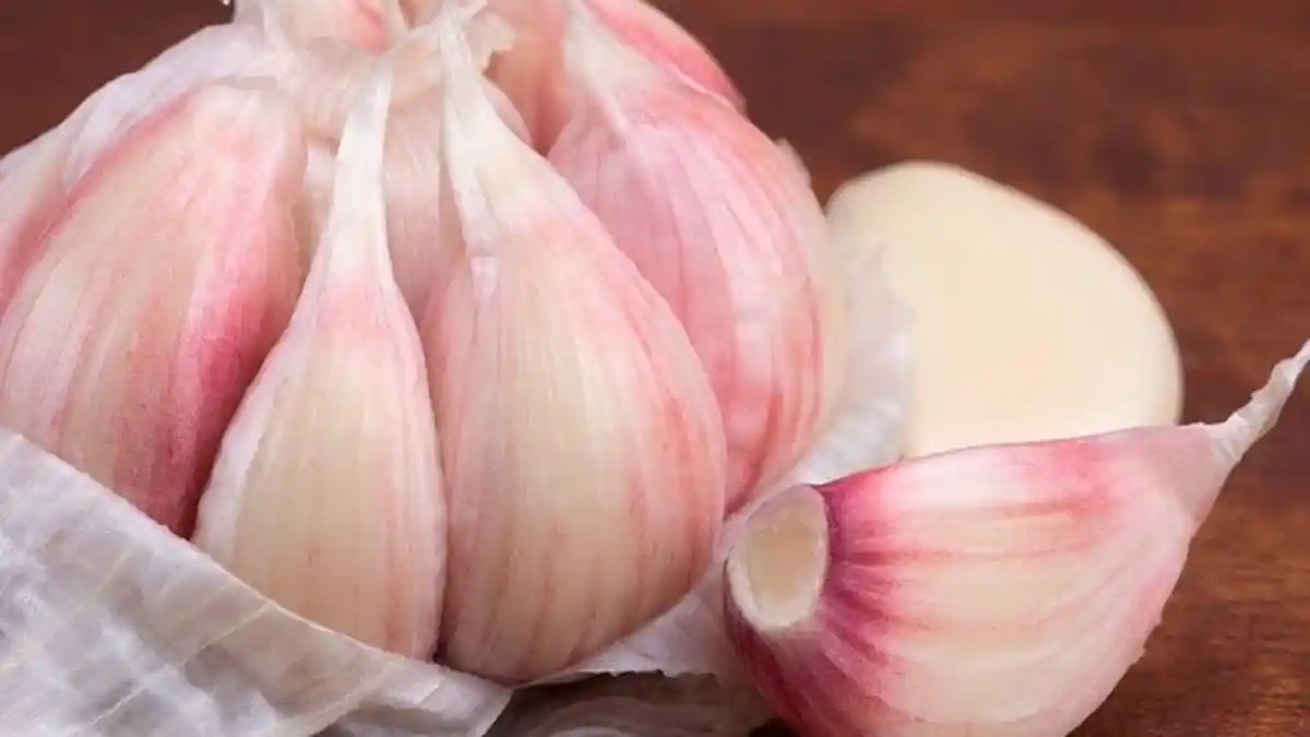 HARGA Terbaru Bawang Putih di Batam Setelah China Dihantam Virus Corona