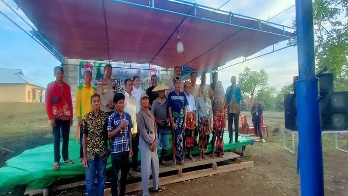 Bupati Sumba Timur Khristofel Praing Panen Jagung di Lahan Seluas 1500 Hektar