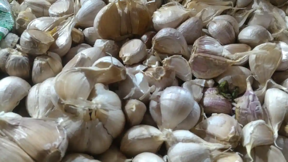 Sederet Manfaat Bawang Putih Bisa Turunkan Kolesterol hingga Meredakan Pilek