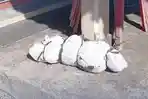 MAYAT-KUCIMG.jpg