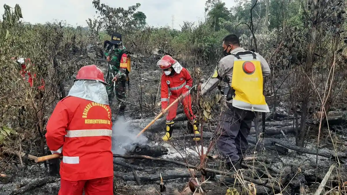Sinergisitas Dalam Antisipasi Karhutla, Ini Upaya KPHP Batanghari Kendalikan Karhutla