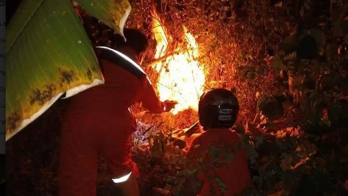 Disengat Tawon, Satu dari Dua Korban Warga Tegal Meninggal Dunia