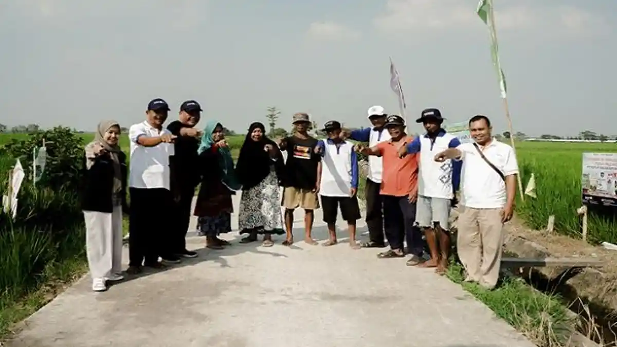 Program Demplot Pupuk Kaltim di Jombang, Hasil Padi Petani Capai 9,2 Ton/Ha