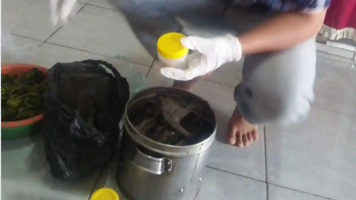 BREAKING NEWS - 119 Orang Keracunan Ikan Tongkol di Jember