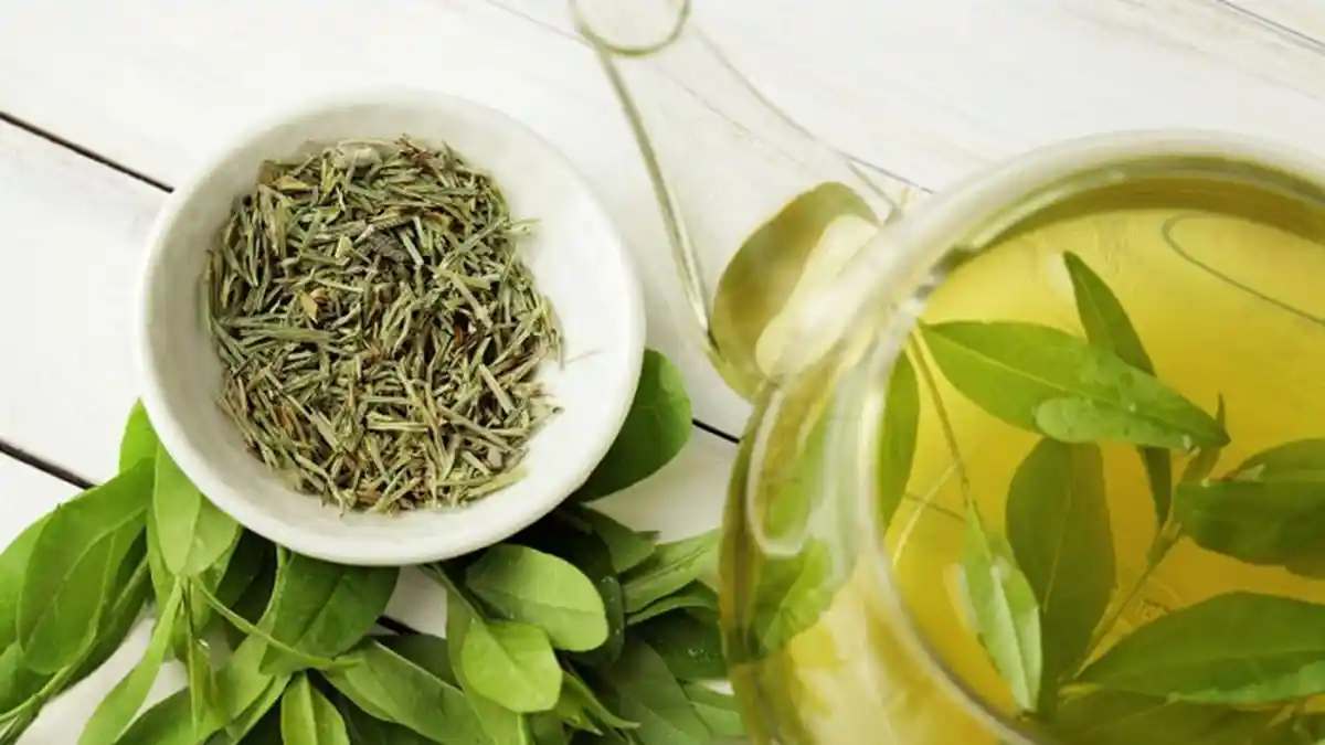 4 Minuman Pagi Hari untuk Bantu Diet dan Efektif Bakar Lemak Tubuh, Terasa Kenyang Lebih Lama