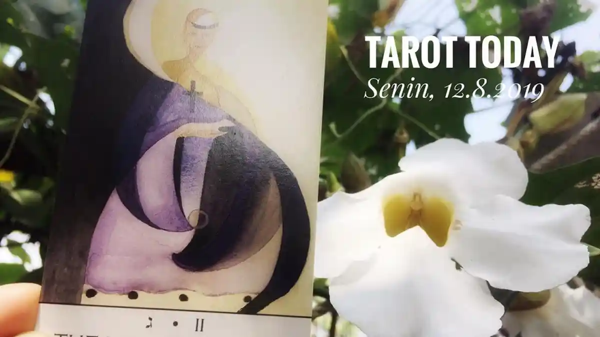 Ramalan Tarot Hari Ini Senin 12 Agustus 2019, Percayai Naluri untuk Hadapi Hal yang Tersirat