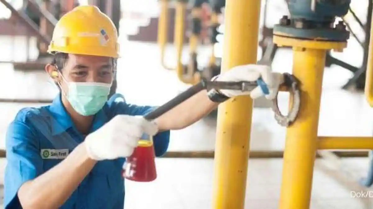 Kurangi Solar, DSNG Olah Limbah Sawit Jadi Listrik 1,2 MW