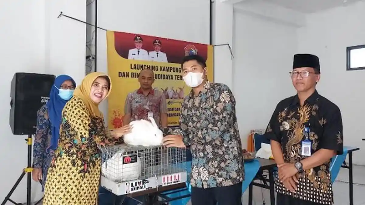Pemkab Karanganyar Dorong Desa Munggur Jadi Kampung Kelinci