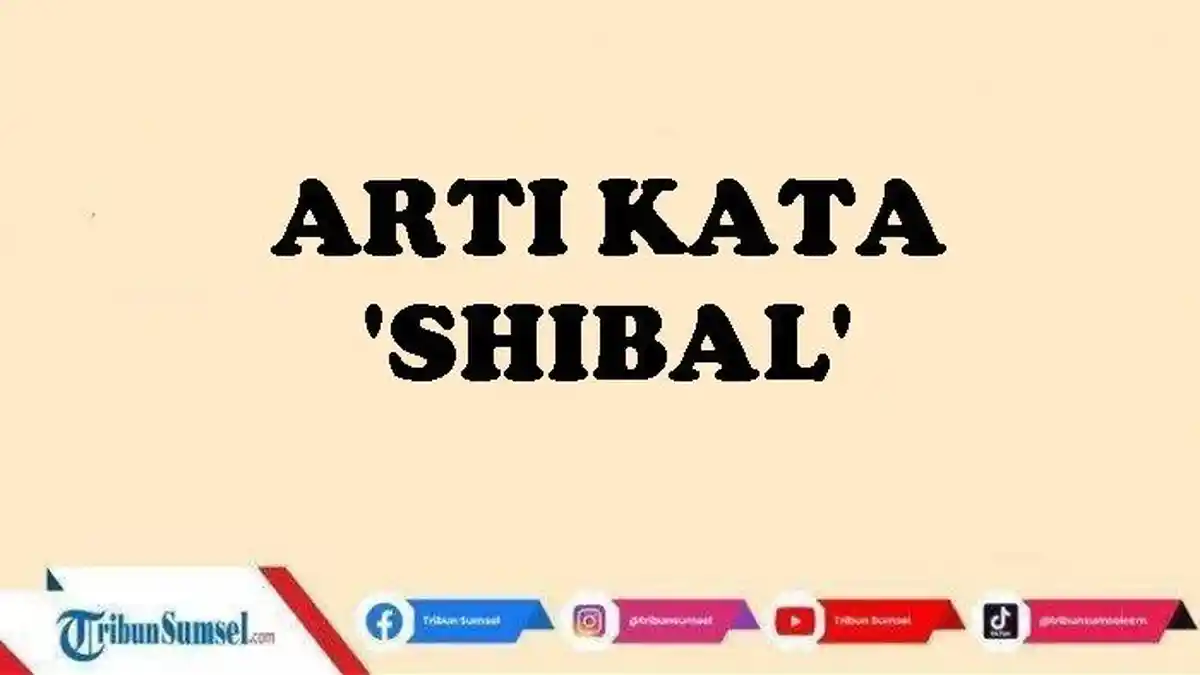 Arti Kata Shibal, Bahasa Slang Korea Selatan yang Mengandung Makna ...