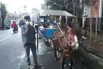 Kisah Mbah Simuh, 55 Tahun Bertahan Jadi Kusir Andong di Salatiga, Begini Kondisinya saat Pandemi