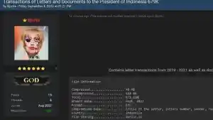 20240919-Siapa-Sosok-Hacker-Bjorka-Jual-NIK-dan-NPWP-Jokowi.jpg