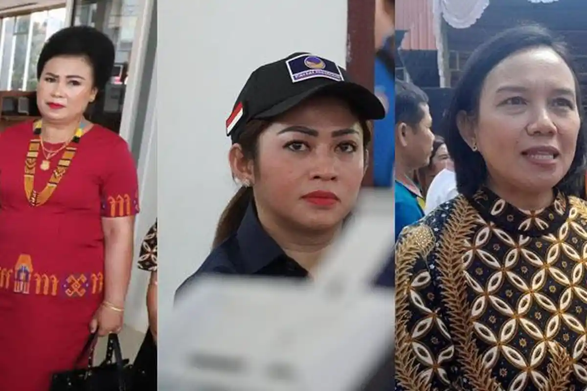 Srikandi Toraja Penantang Eva Stevany Rataba di Dapil Sulsel 3, Ada Istri Bupati