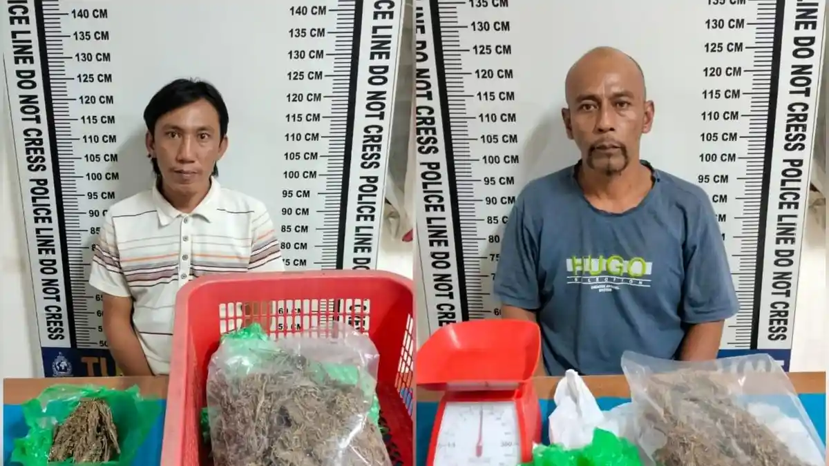 Tangkap Dua Pengedar Narkoba dari Lokasi Berbeda, Polres Siantar Sita Setengah Kilo Ganja