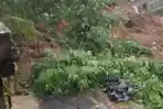 Tebing 20 Meter Longsor Blokir Jalan Cimaung Bandung, Suara Gemuruh saat Kejadian Kagetkan Warga