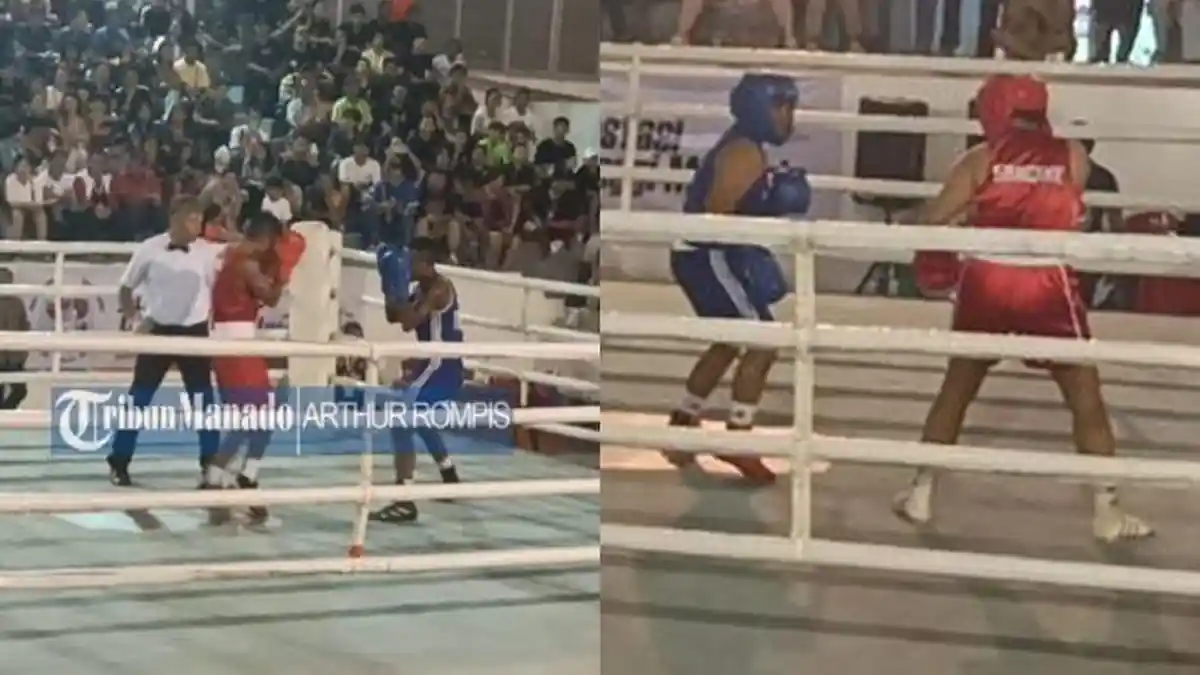 Daftar Perolehan Medali Cabang Olahraga Tinju di Porprov XII Sulut 2025, Manado Juara Umum