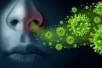 Ilustrasi-Virus-influenza.jpg