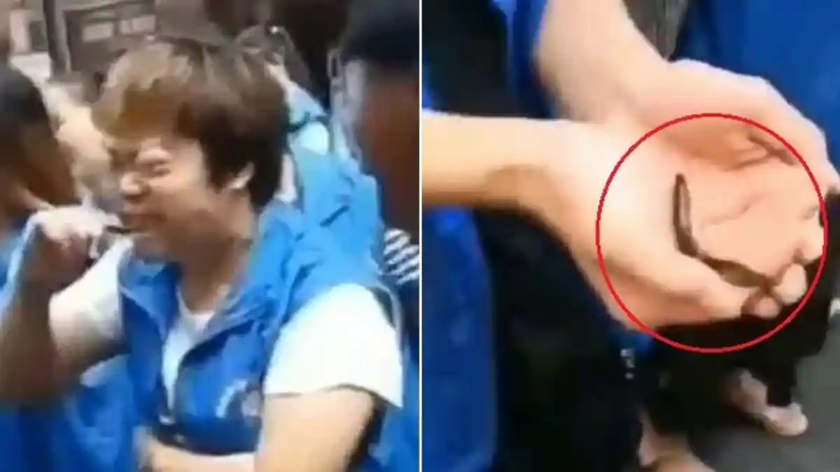 Karyawan Dihukum Makan Ikan Hidup dan Minum Darah Ayam karena Tak Capai Target