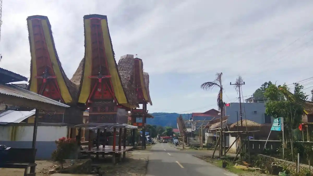 BMKG Ingatkan Potensi El Nino, Tana Toraja Waspada Kekeringan