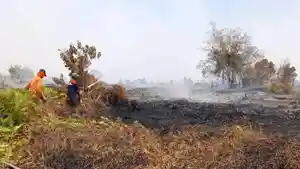 Kebakaran-hutan-dan-lahan-karhutla-di-Kabupaten-Aceh-Barat-terus-meluas.jpg