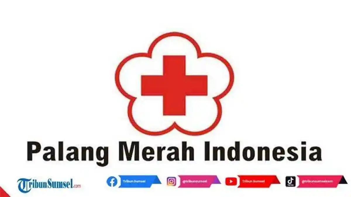 Sejarah Hari Palang Merah Indonesia (PMI) Diperingati Setiap 17 September, Ini Tugas-tugasnya