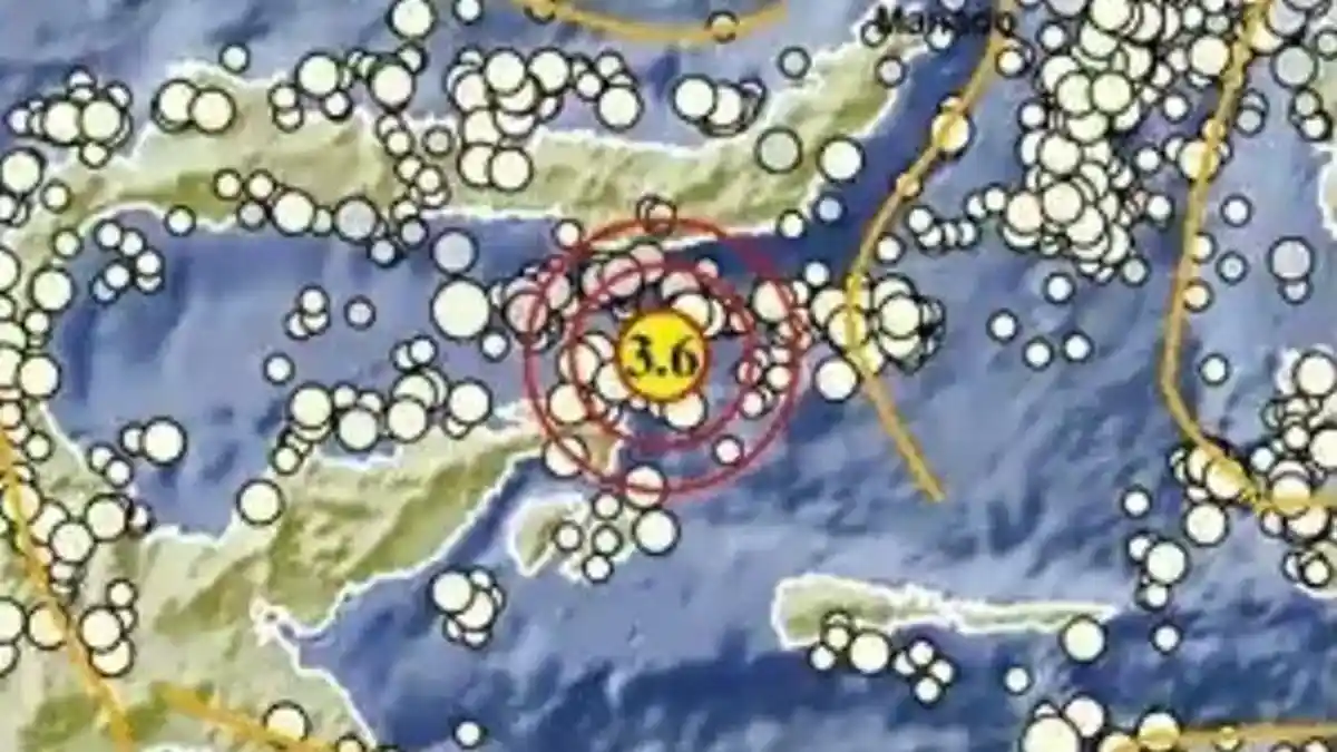 Gempa Terkini Sabtu 7 Juni 2025 Pagi Hari, Barusan Terjadi, Info Lengkap dari BMKG Klik Sini