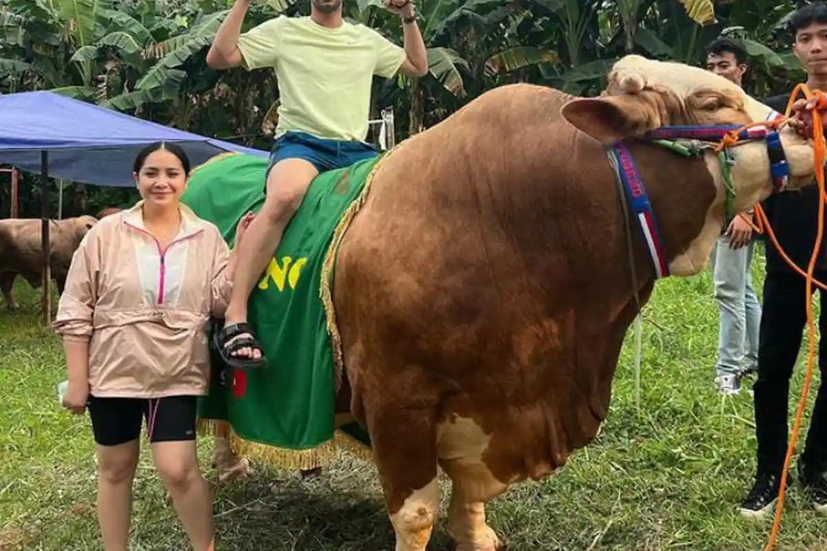 Raffi Ahmad Borong 20 Sapi Qurban dan 10 Kambing, Salah Satu Beratnya Hingga 1 Ton