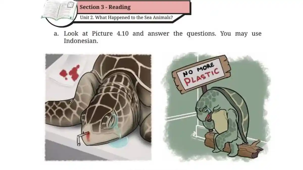 Kunci Jawaban Bahasa Inggris Kelas 8 Halaman 209 Kurikulum Merdeka, Why Did Both Turtles Look Sad?