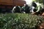 Percantik Ibu Kota dengan Penghijauan