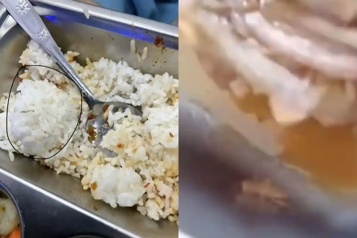 Ulat dan Anak Kecoak di Program MBG Batam, Ombudsman Kepri Pertanyakan Pengawasan