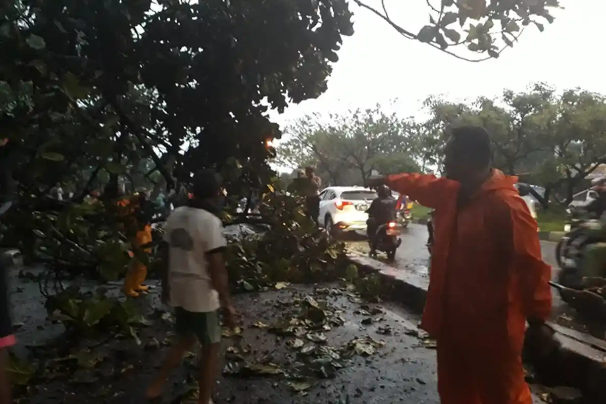 Tim BPBD Jabar Bersama Warga Evakuasi Pohon Tumbang di Jalan Soekarno Hatta
