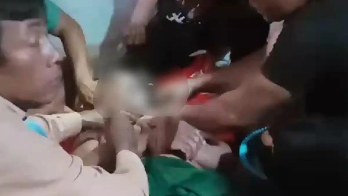 NASIB Khoirul Pria di Banyuwangi Tewas Disengat Tawon Vespa Saat Cari Pakan Ternak di Hutan