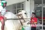 VIRAL Pria Magetan Naik Sapi ke Minimarket, Polahnya Pancing Perhatian Warga, Lihat Potretnya