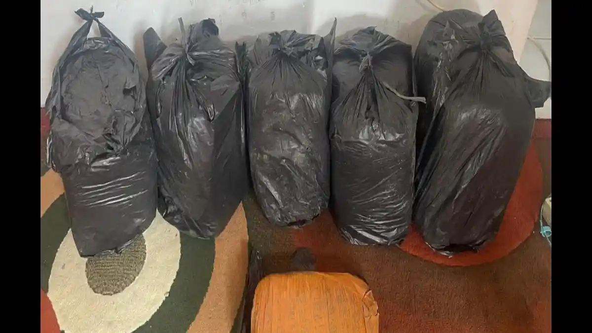 Bawa Belasan Kilo Ganja dari Panyabungan ke Sumbar, 2 Pria Diciduk Polisi di Agam