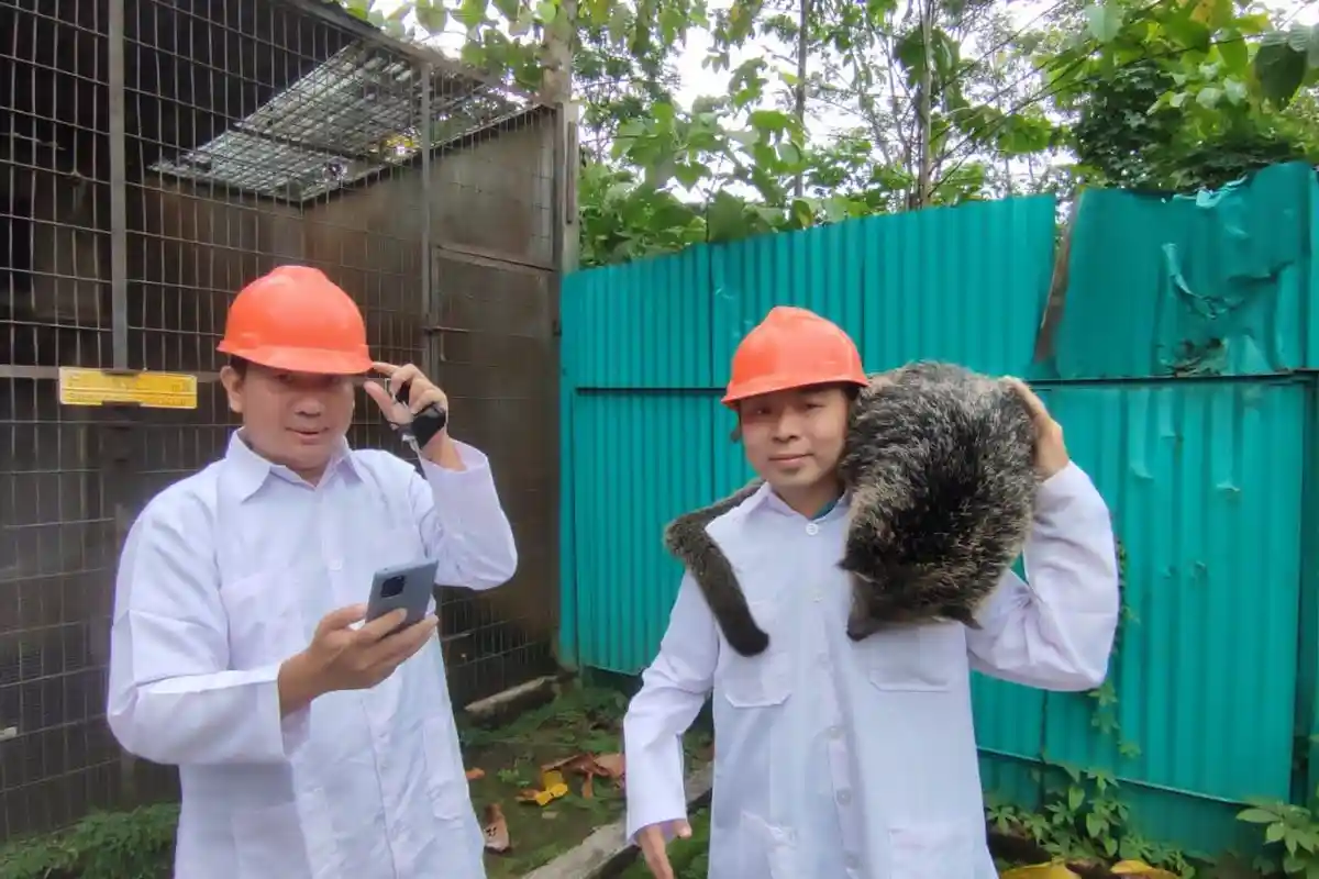 Di Semarang Ada Penangkaran Binturong Satwa Langka Eksotis, Satu Ekor Harga Rp45 Juta