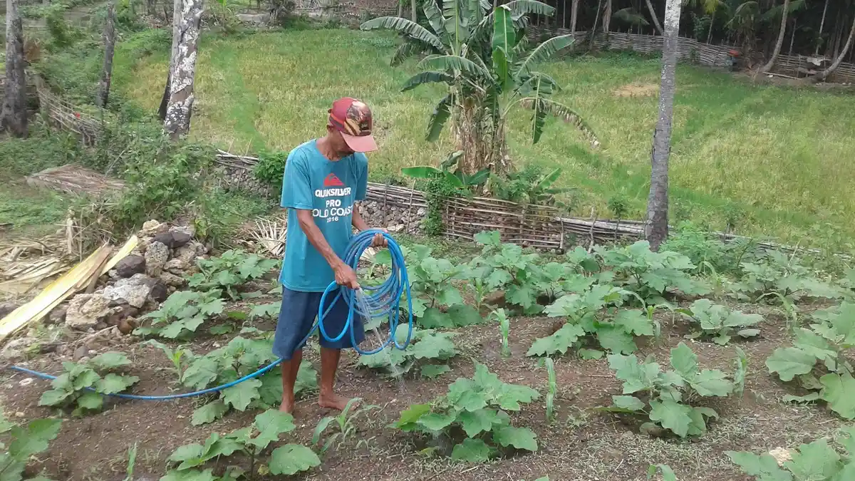 Gabriel Mone, Tukang Kayu Yang Antusias Bertani